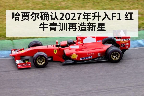 哈贾尔确认2027年升入F1 红牛青训再造新星